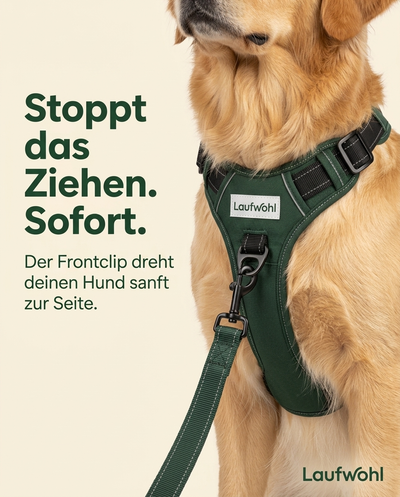 Das Laufwohl™ Anti-Zug-Geschirr