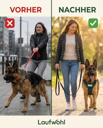 Das Laufwohl™ Anti-Zug-Geschirr